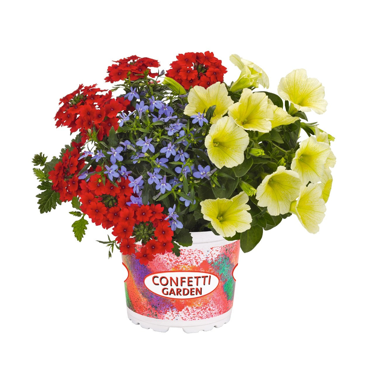 Puķu maisījums Confetti Garden Plum Cake 2026